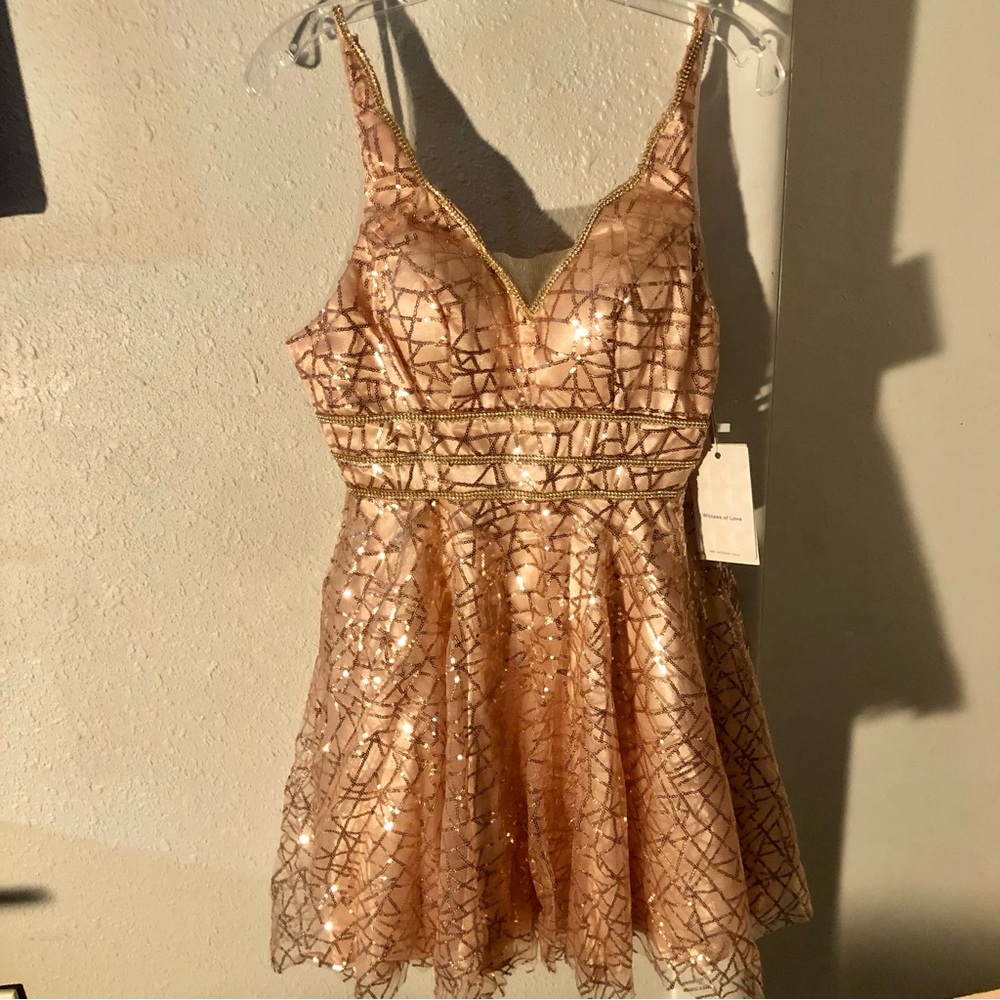 Pink Sleeveless V-neck Fit and Flare Prom Dress